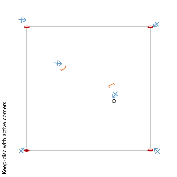 Keep-disc with active corners.jpeg
