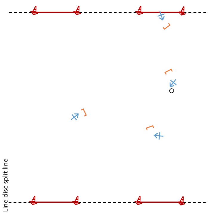 Line disc split line.jpeg