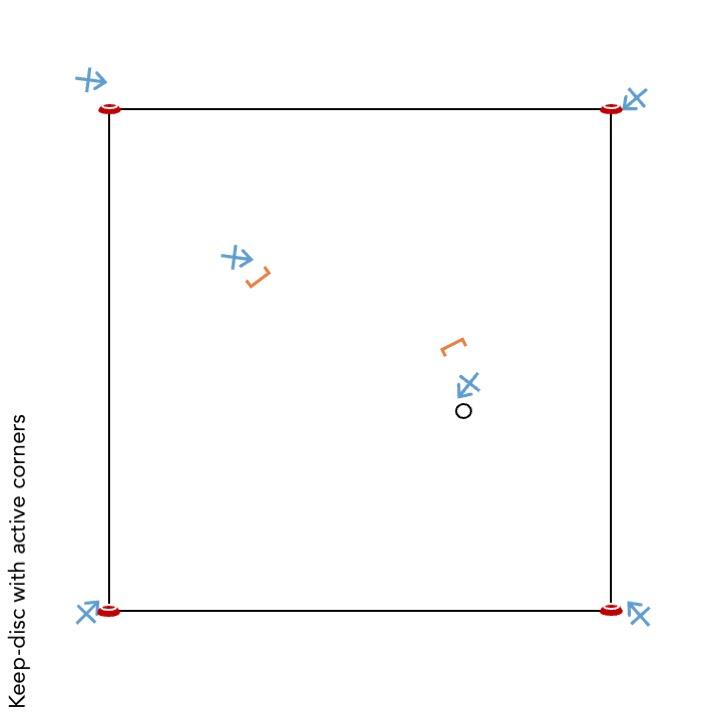 Keep-disc with active corners.jpeg