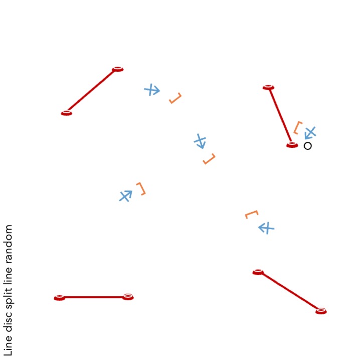 Line disc split line random.jpeg