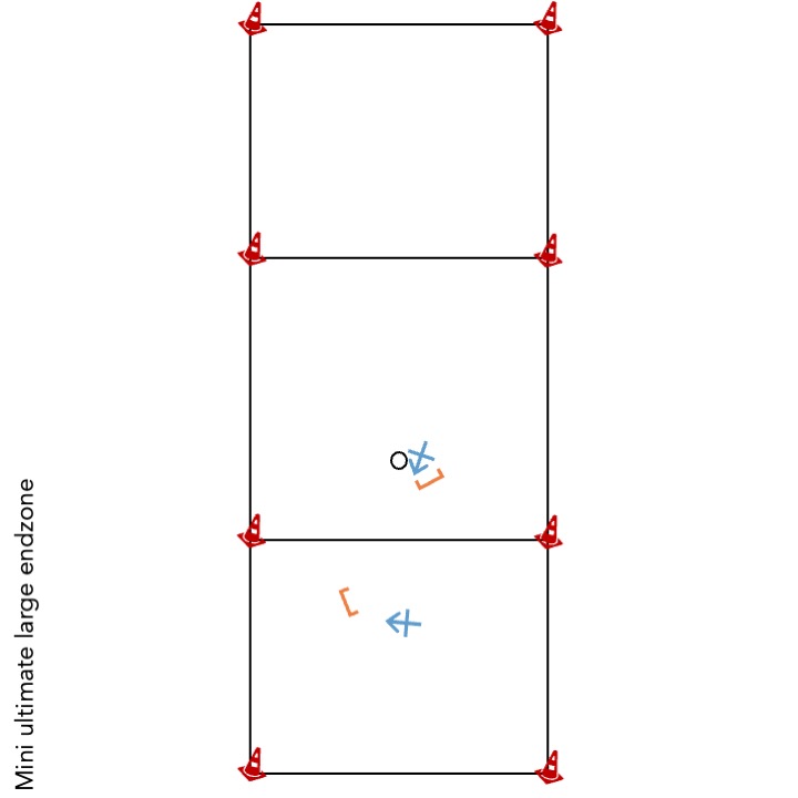 Mini ultimate large endzone.jpeg