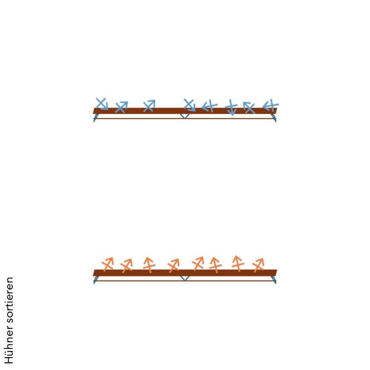 Hühner sortieren.jpg