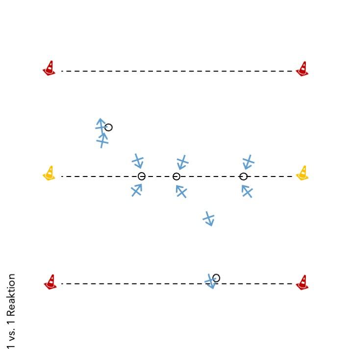 1 vs. 1 Reaktion.jpg